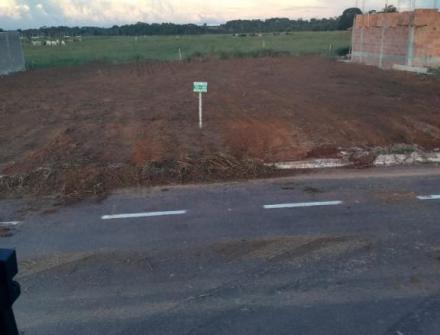 DEPOIS-LIMPEZA DE TERRENO